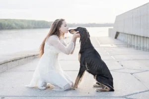 Female Owner Calming Greyhound. Greyhound Separation Anxiety. Owner giving love